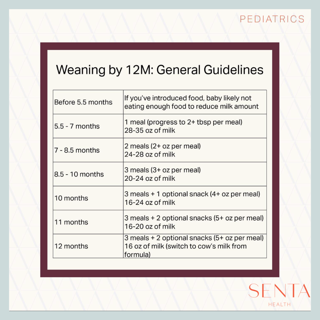 Weaning by 12M: General Guidelines