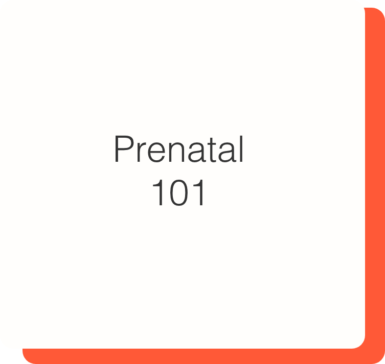 Prenatal 101