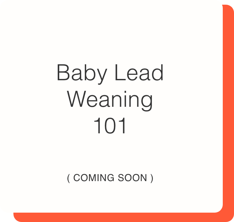 Baby Led Weaning 101